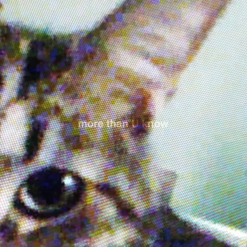 discombobulated (on streaming)