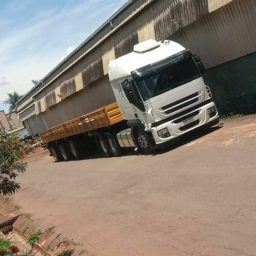 Unha pintada - chuva