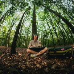 playing music in the forrest