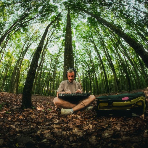 playing music in the forrest