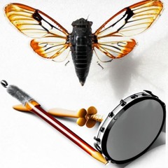 Cicada Beat - Boretto4 - Sound World II