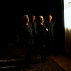 Lost My Head (feat. Adalita, Mick Harvey & Mick Turner)