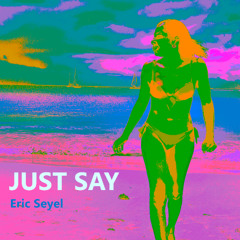 Eric Seyel - Just Say