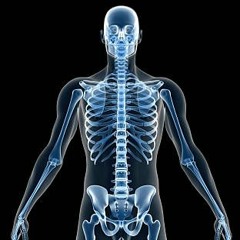 utuh - satine zaneta