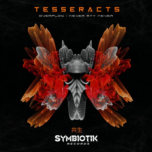 TESSERACTS - NEVER SAY NEVER