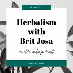 Herbalism with Herbalist Brit Josa