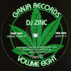 DJ Zinc - On Fire Tonight (The Chief Remix)