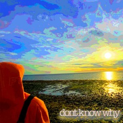 dont know why (prod. blank thought)