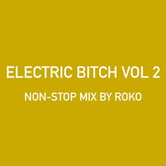 ELECTRIC BITCH VOL 2 (NON-STOP DJ MIX BY ROKO)