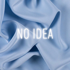 NO IDEA