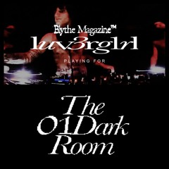 The Dark Room 01: LUV3RG1RL