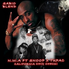 N.W.A Ft Snoop x Tupac - California Chin Check (SABIO BLEND)