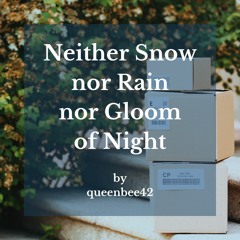 Neither Snow nor Rain nor Gloom of Night by queenbee42