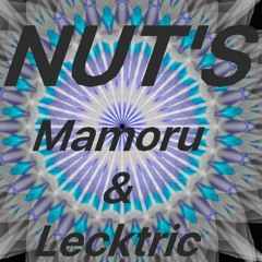 Nuts  Mamoru & Lecktric