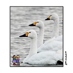 새파랗게 with 최성(한국사람)