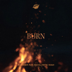 Sommer Ray, Schillist & VIZZI - Burn
