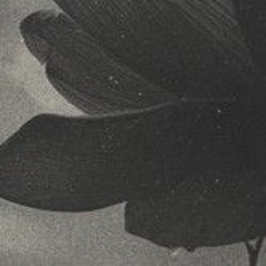 Neveralone - Noh4ine.mp3