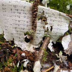 PAS Berlin Workshop Excerpt_Kraljii Gardiner_Abrantes