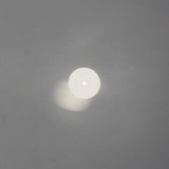 White Roses (Jxob Remix)