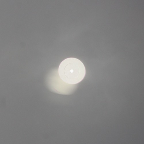 White Roses (Jxob Remix)