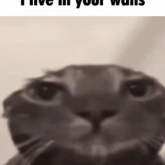 m0ve bit3h :)