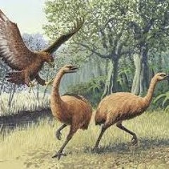 Guillotine Windows (demo) prod. t.sage