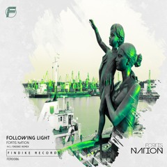 Following Light - Fortis Nation (Findike Remix)