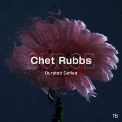 Surge Curated: #15 | Chet Rubbs