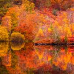 Autumn Chillz 2