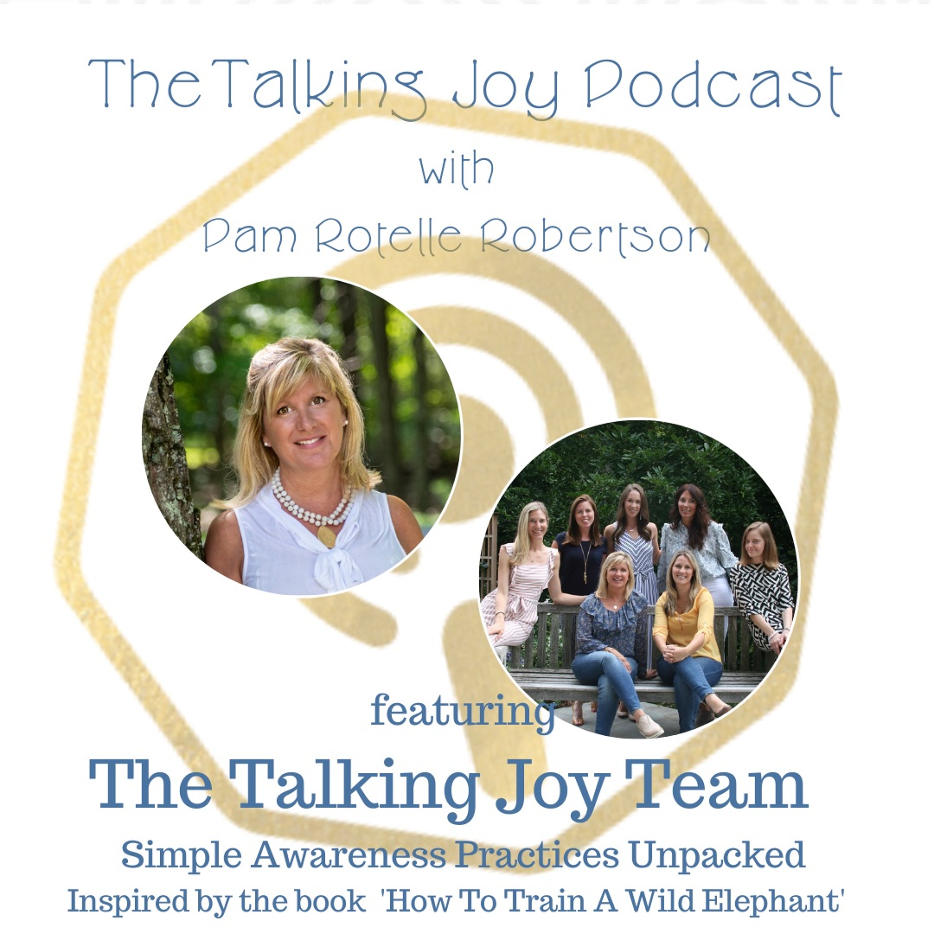 Talking Joy Podcast