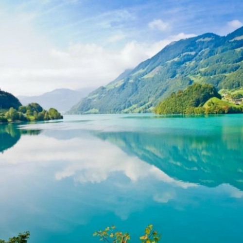 なかむらみなみ background pattern FREE DOWNLOAD