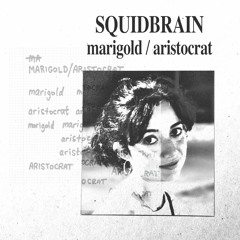 PREMIERE: Squidbrain - Marigold [Pet's Choice]