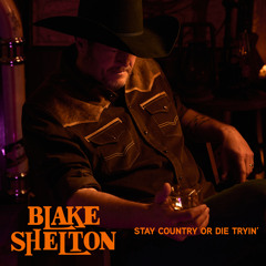 Stay Country or Die Tryin' (Single Version)