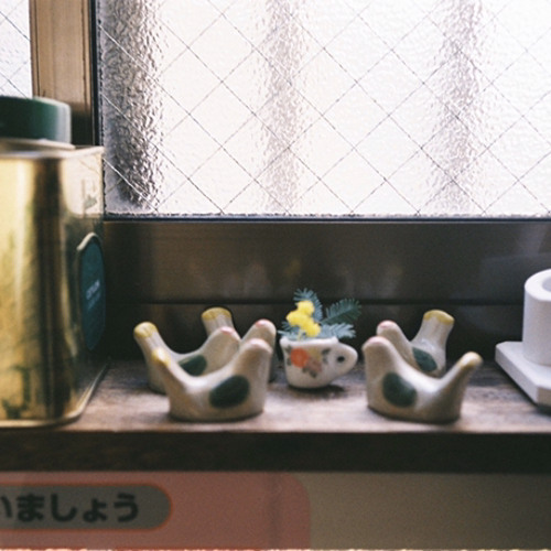 鳩
