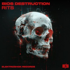 Bios Destruction - RITS