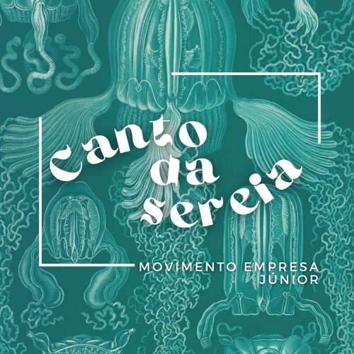 PODCAST: o "Canto da Sereia" entrevista Juliana Koga!