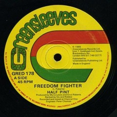 Half Pint - Freedom Fighters (Dub Fyah Remix) (Free DL)