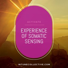 The Experience Of Somatic Sensing: Business Micro-practice