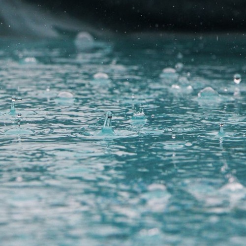 With Tea R. Sea - Cleansing Rain
