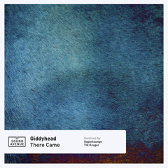 There Came (Superlounge Remix)