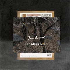 阿冗 - 你的答案 (ICE CREAM Remix)