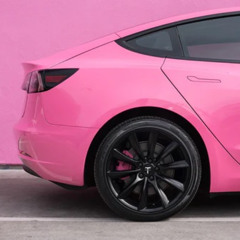 PINK TESLA