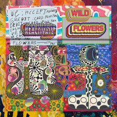 PREMIERE: Wild Flowers — Back From The O.C. (Lost My Keys Mix) [Snick Snack Music]
