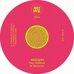 Premiere : mul.apin - Deep Sky Objects (Youandewan Remix) (JJR015)