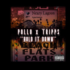 POLLO FT. TRIPPS - HOLD IT DOWNK