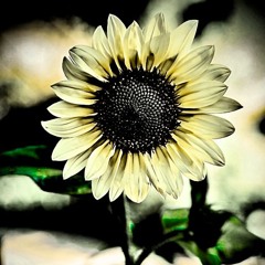 Hardhouse/Trance Mix - Set 16 - Bassion