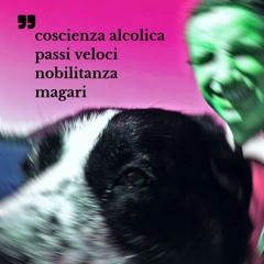 magari