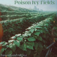 poison ivy fields