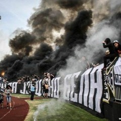 HOOLIGANS