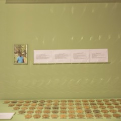 Stop Six: Baalamurunga to BG352